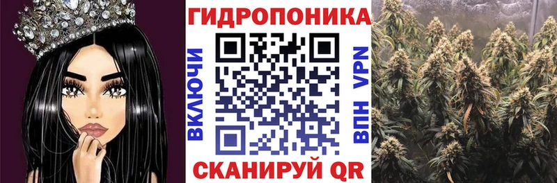 Канабис THC 21%  дарнет шоп  Прокопьевск 